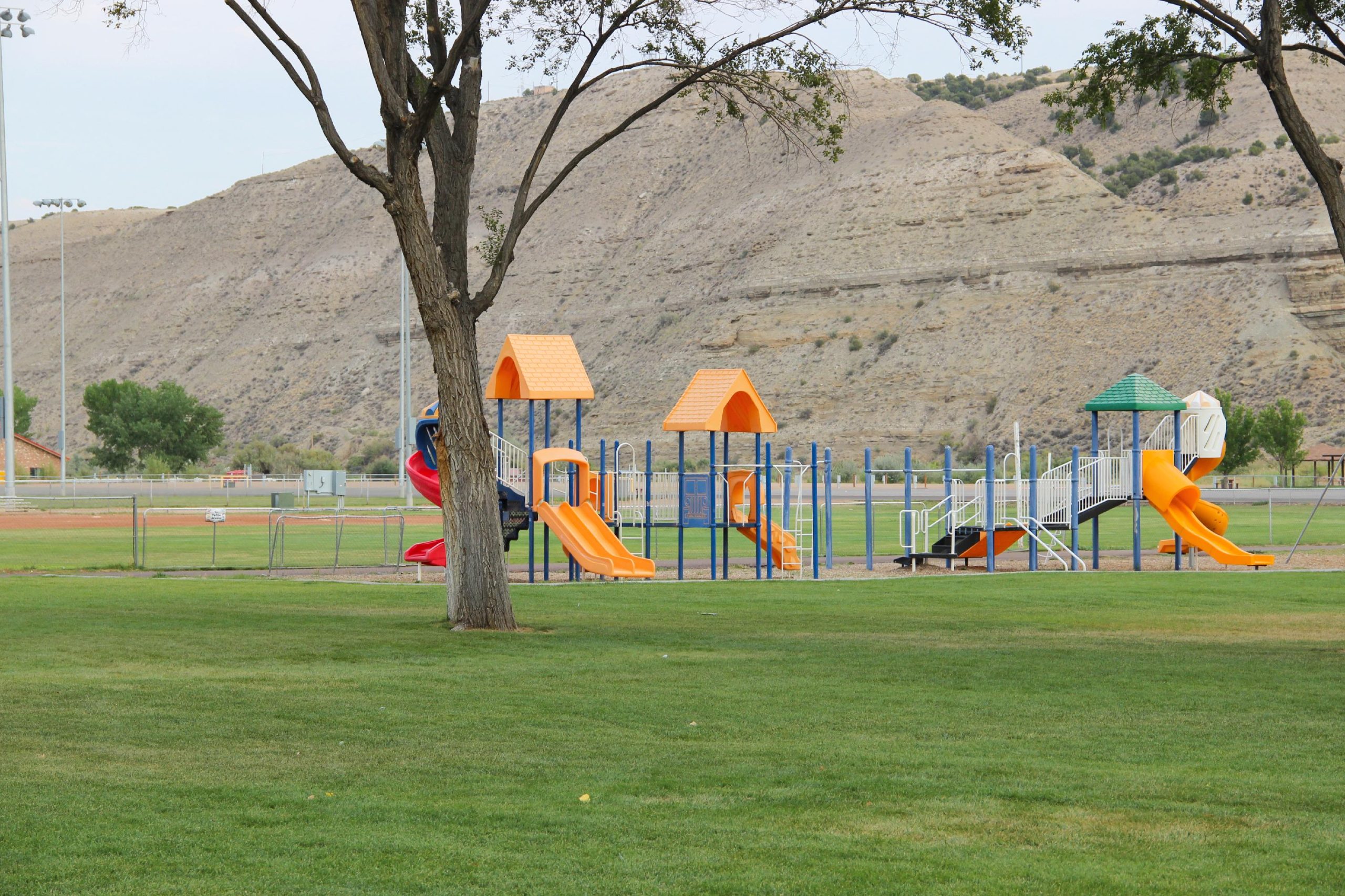 roypark