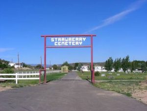 Strawberry Cemetery