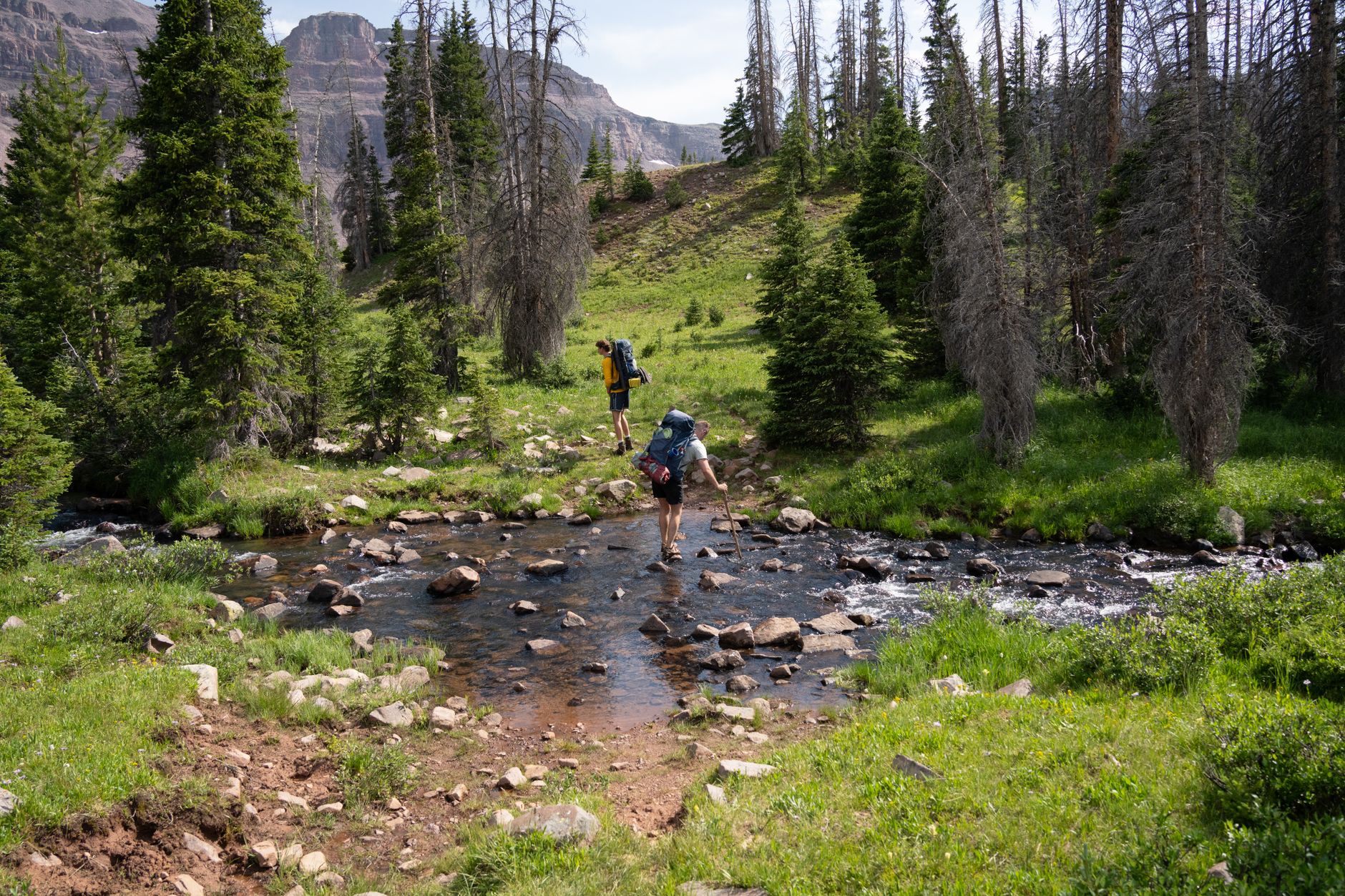 Two hikers crossing a stream surrounded by lush forest and mountains.
